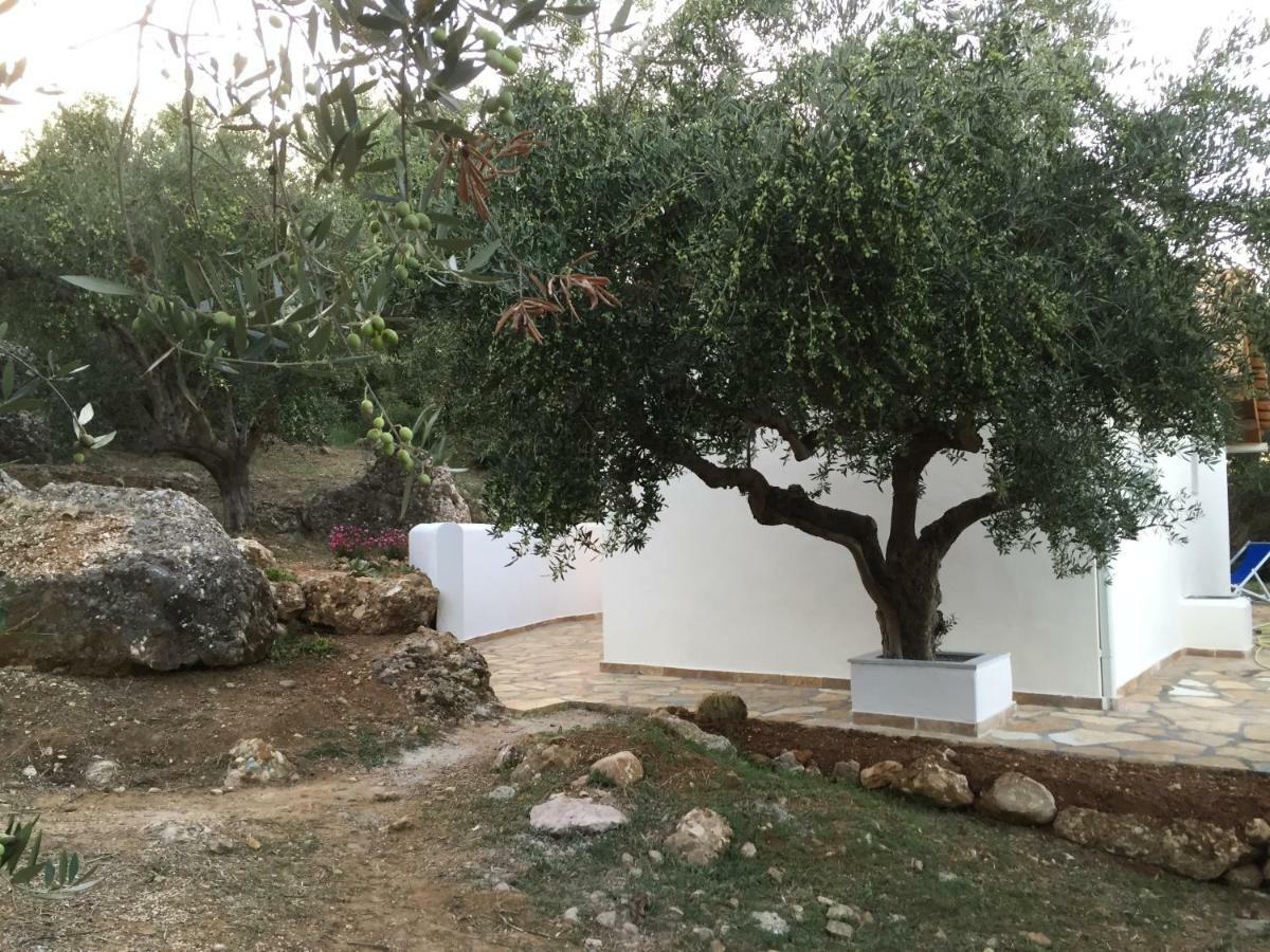 Ferienhaus Olive Garden Κυπαρισσία Εξωτερικό φωτογραφία