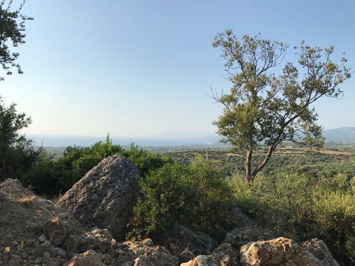 Ferienhaus Olive Garden Κυπαρισσία Εξωτερικό φωτογραφία